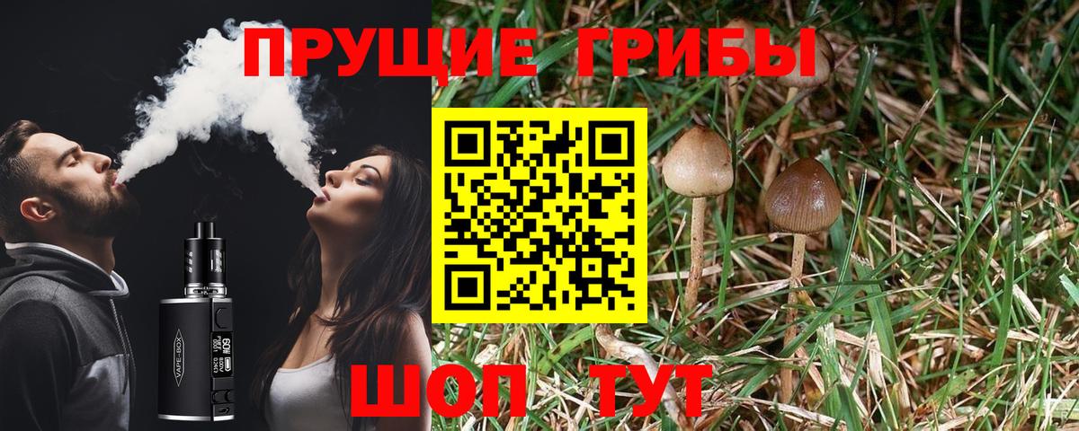 Галлюциногенные грибы прущие грибы  Вход с VPN  Псилоцибиновые грибы Psilocybine cubensis  Шумерля 